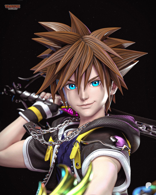 Sora